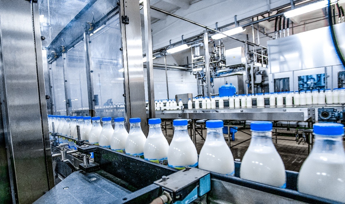 ISO Pneumatic Cylinders for Food Processing Applications